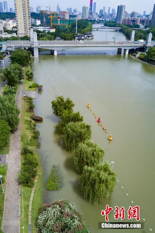 长江与南京秦淮河 江河交汇"泾渭分明"