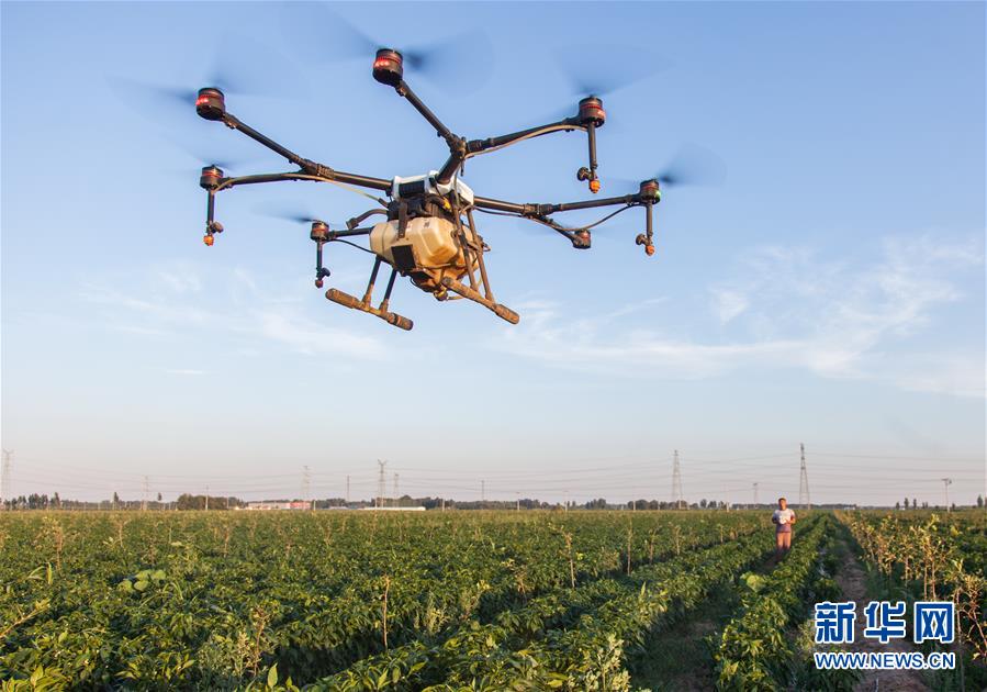 (经济)(1)无人机植保技术助力农业增效