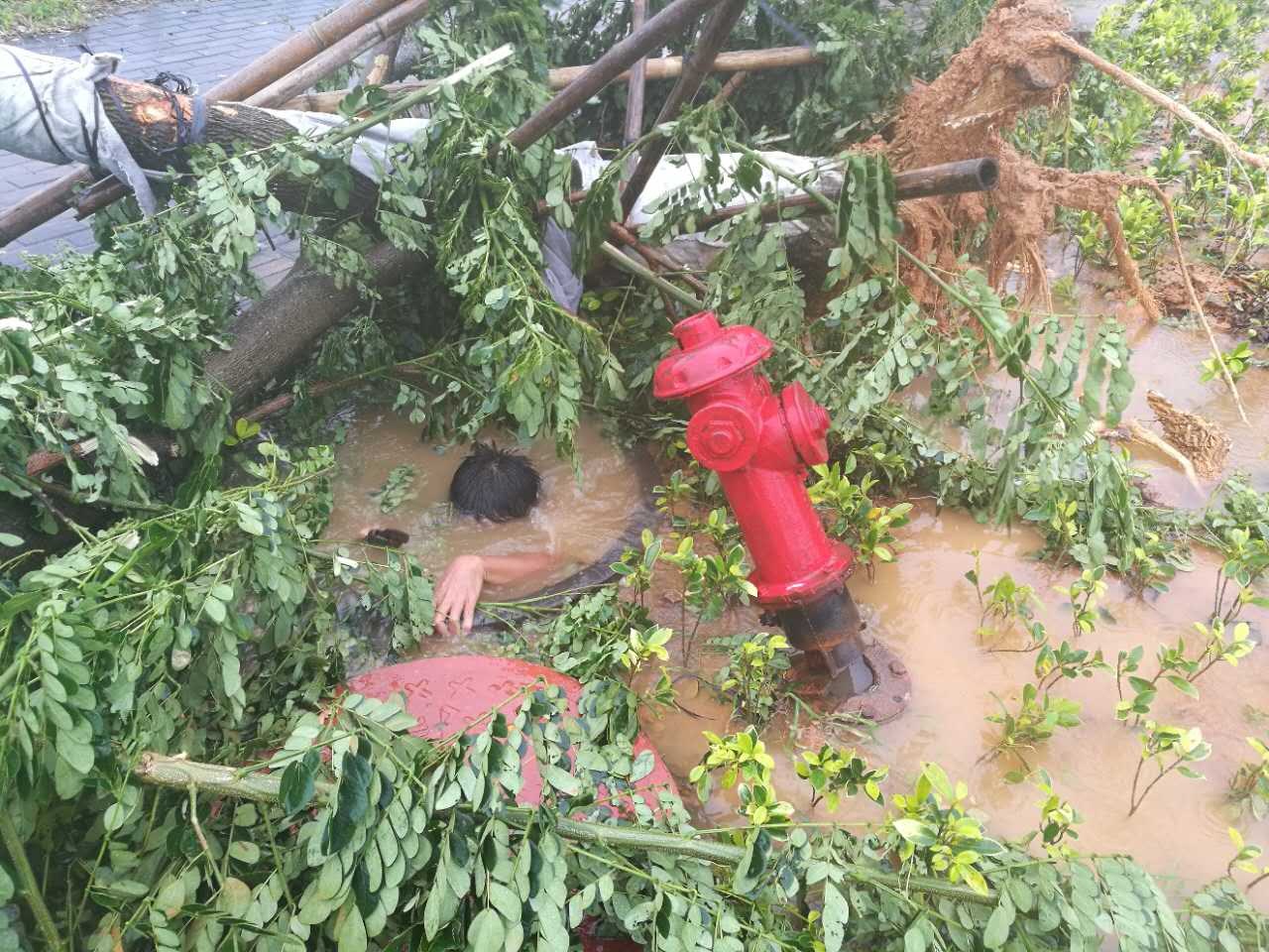 中央气象台继续发布高温橙色预警 局地超40度