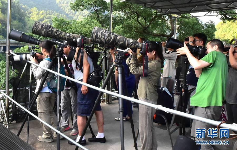 (图文互动)(1)神奇的农家楼顶