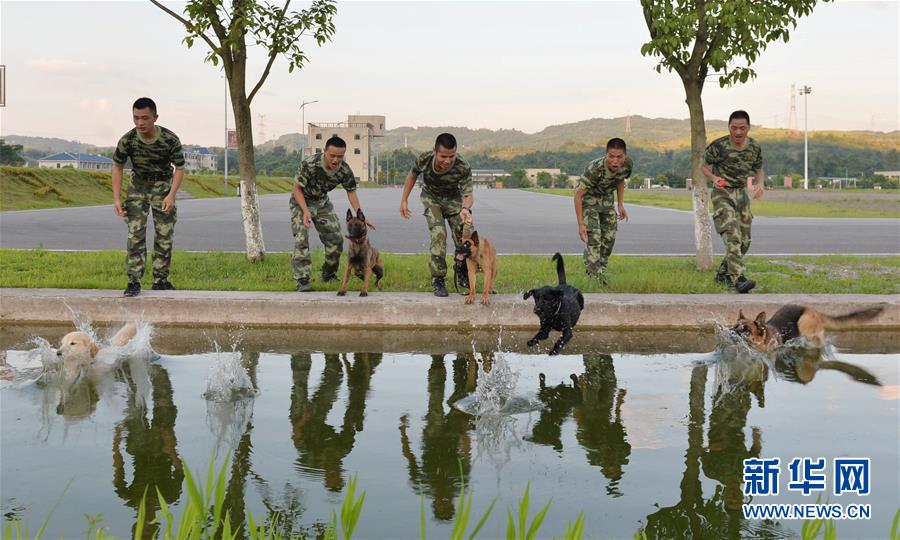 #（社会）（1）警犬戏水降温避暑