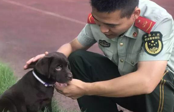 QQ截图20170720095815.png