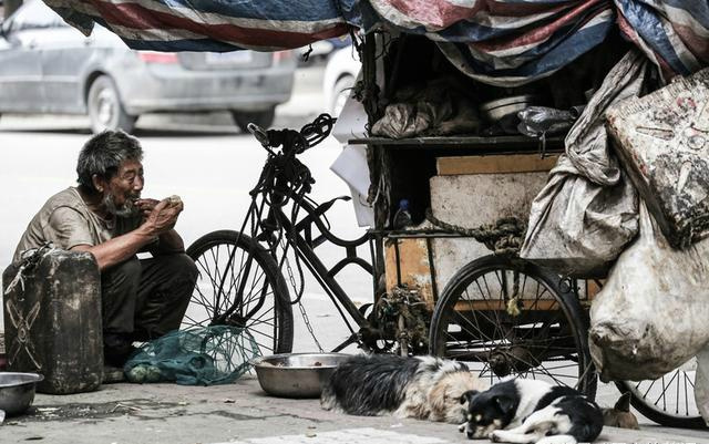 实拍流浪老人与狗 老人:我的狗1000块都不卖