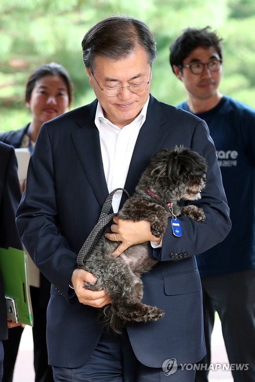 韩国总统文在寅领养弃犬 入住青瓦台