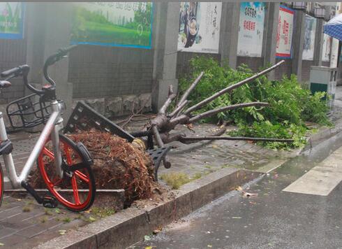 台风.jpg