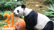 QQ截图20170802045053.png