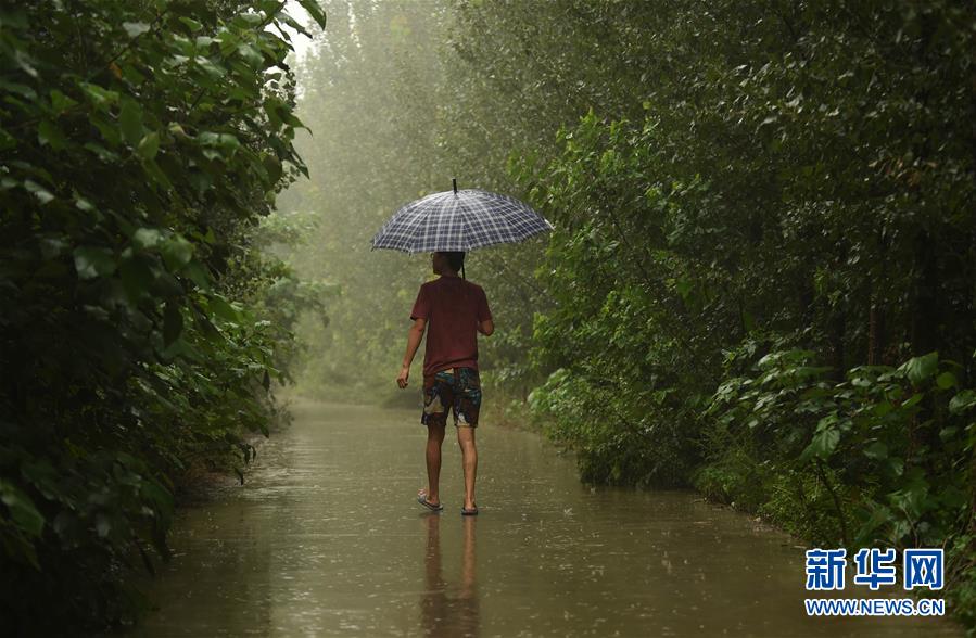 （新华网）（1）北京部分地区降雨