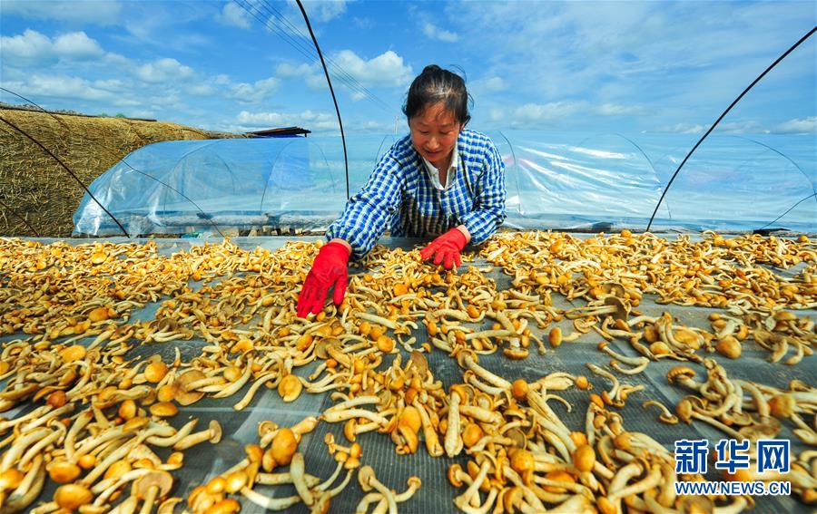 （守望相助70载·壮美亮丽内蒙古）（1）探访内蒙古“三少民族”自治旗