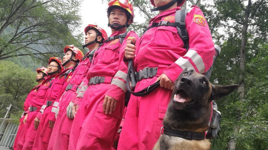 QQ截图20170812141405.png