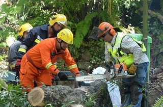 倾倒致13人死亡.jpg