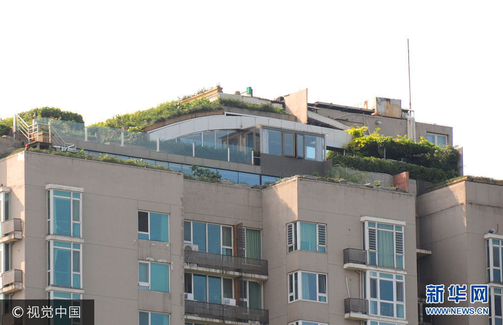 ***_***2017年8月17日，北京，曾经拆除干净的违建屋顶上，一侧楼顶已经被绿色植物覆盖得严严实实。