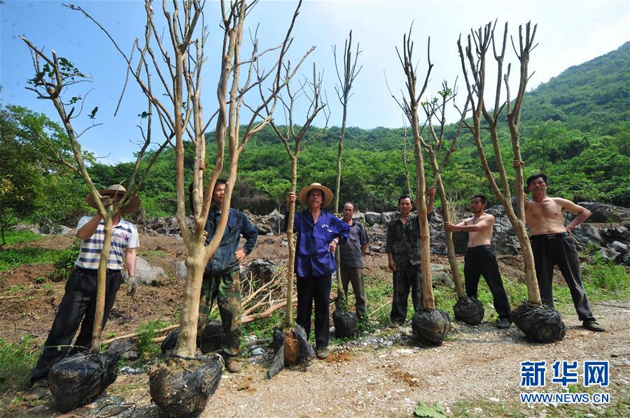 （新华全媒头条·图片故事）（2）影像记录：农民工返乡创业，“空心村”走出贫困