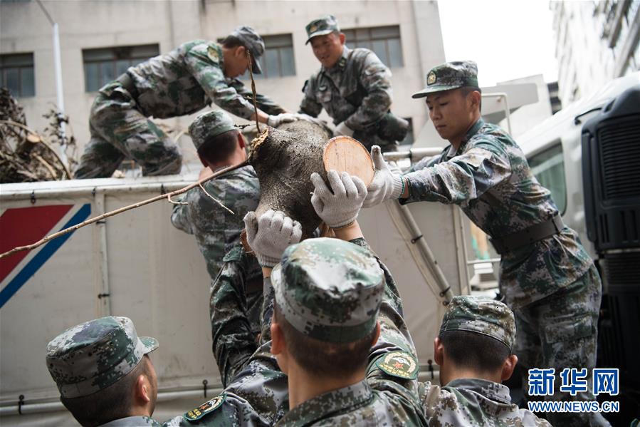 （图文互动）（1）风雨未消再集结——驻澳部队“帕卡”过后第一时间继续救灾