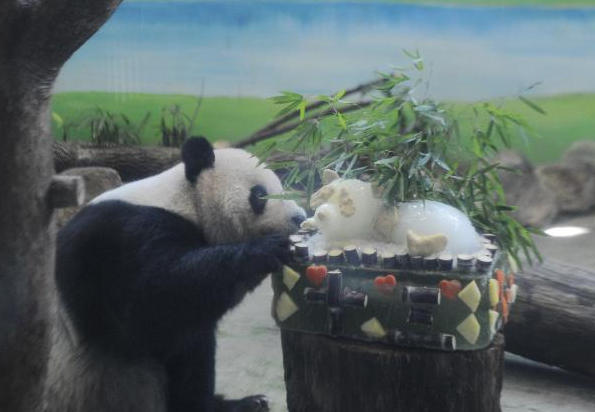 QQ截图20170830071442.png