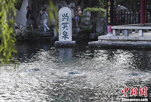 济南趵突泉持续喷涌14年