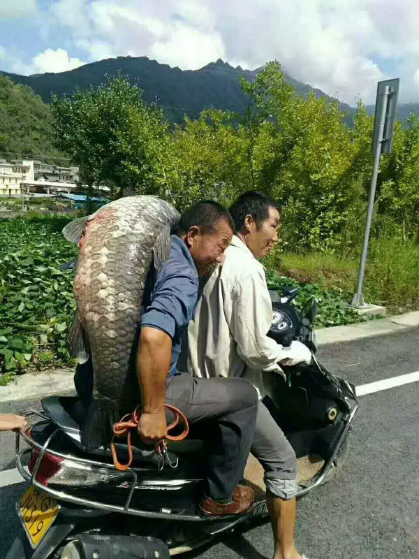 全运会赛场上无声的细节:运动员们手的故事