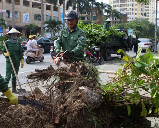 台风 杜苏芮 袭击越南 至少8人死亡28人受伤