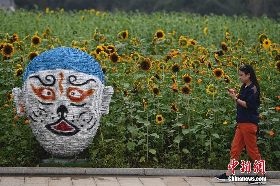 江西民办学校从公立学校高薪挖教师 被教育部