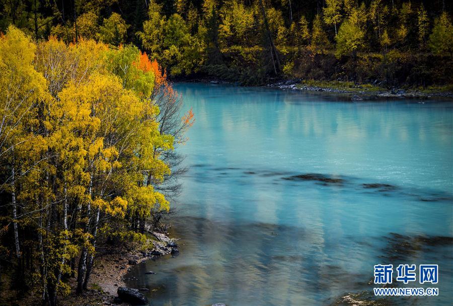（美丽中国）（4）喀纳斯：秋景入画来