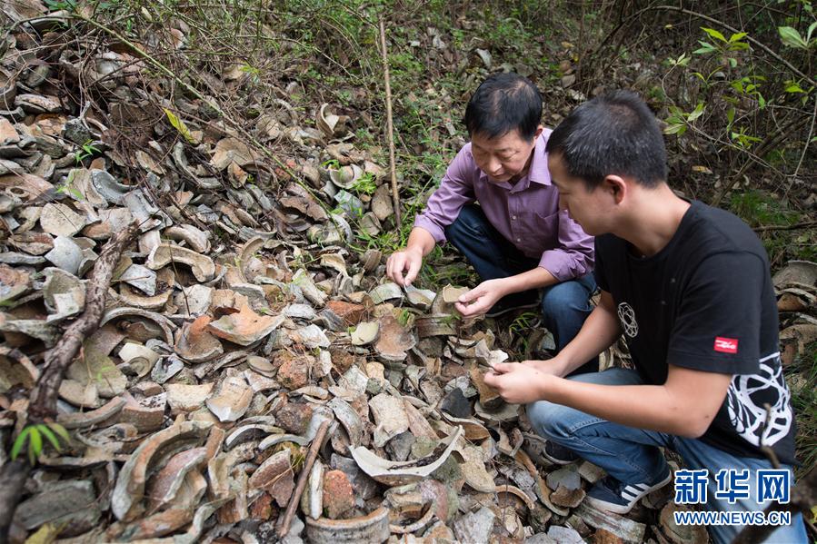 （图片故事）（3）重现千峰翠色：花甲老人的青瓷梦