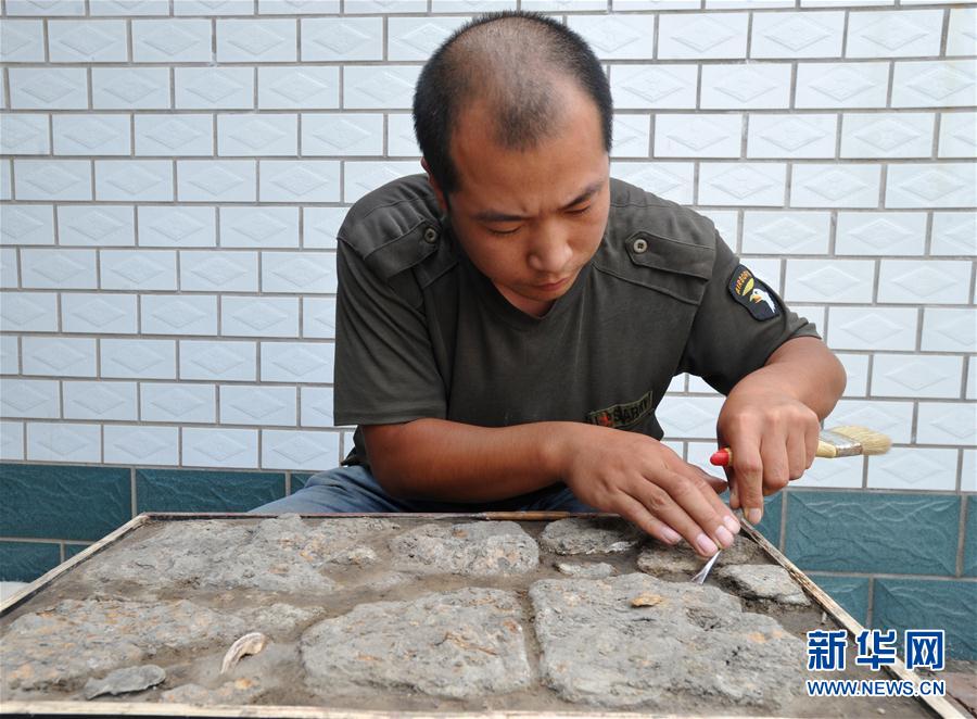 （文化）（1）河北肃宁后白寺西遗址抢救性发掘有序推进