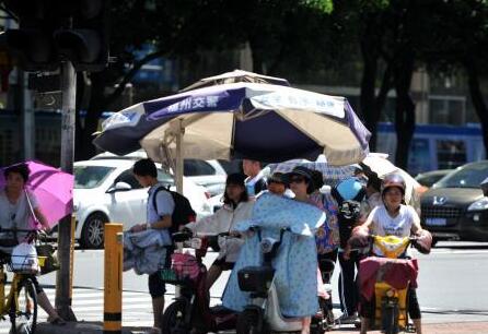 老虎.jpg