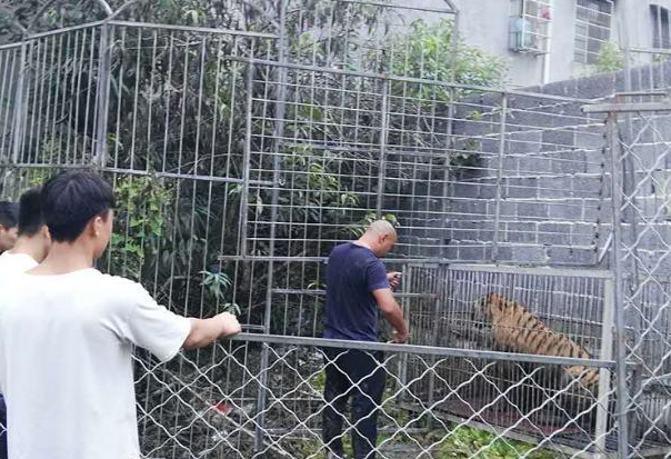 QQ截图20171003175221.png