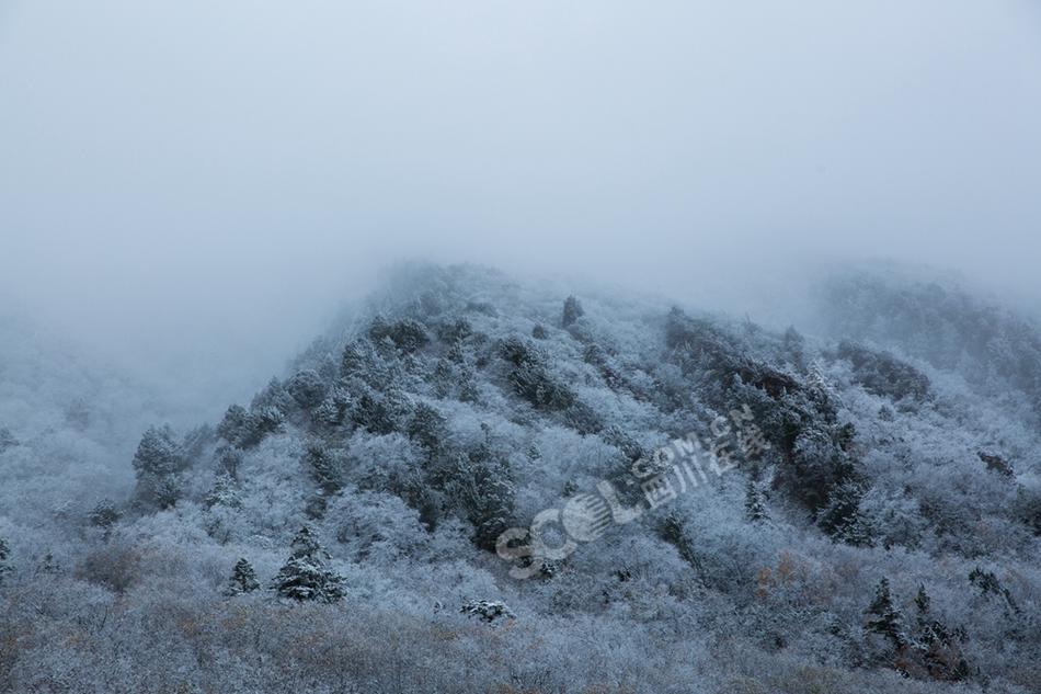 图为黄龙雪景.