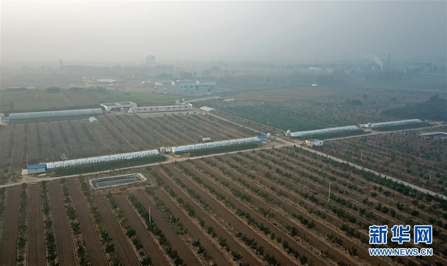 （XHDW·新时代新征程·图文互动）（1）中国循环农业：变“废”为“肥” 减污增产助力脱贫