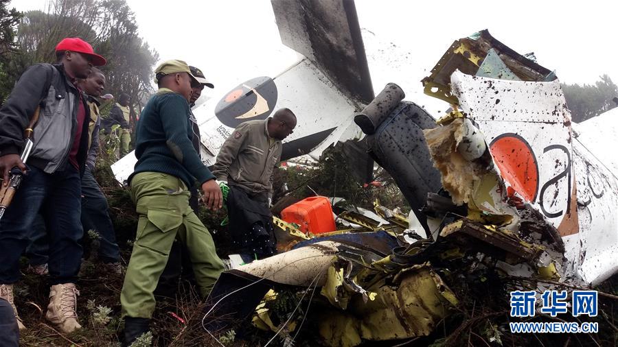（国际）（1）坦桑尼亚一小型飞机坠毁致11人遇难