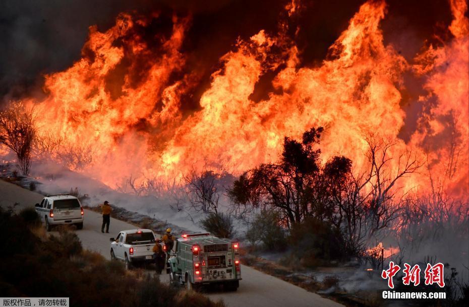 美国加州山火持续蔓延 马群受惊撞破围栏逃命