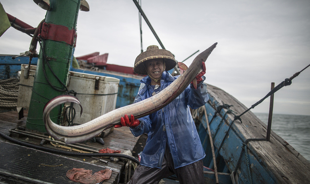 逐浪网作者专区_逐浪作者收入