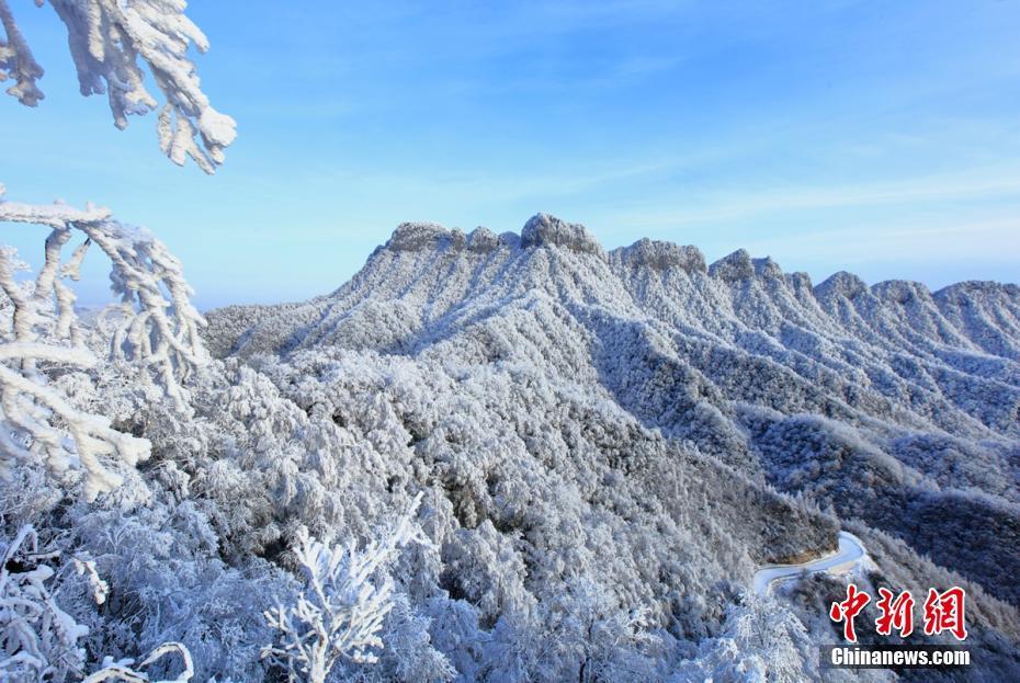 强降雪让光雾山银装素裹,分外妖娆.程永红 摄