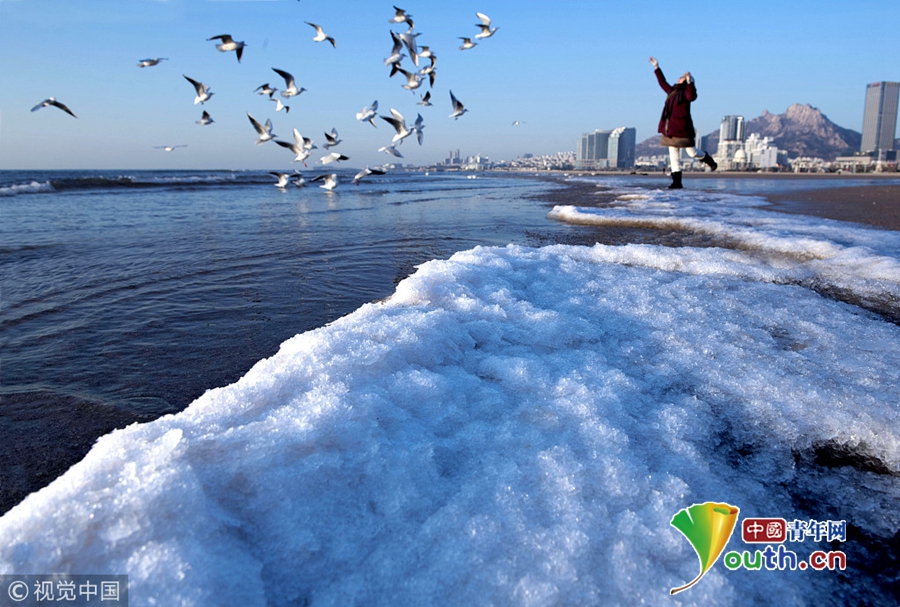 山东青岛遇连续降温天气 海面出现结冰现象