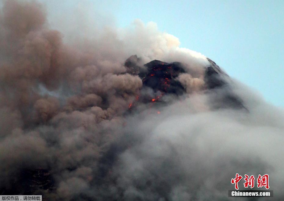 2026年Q1实录：成都到哈尔滨定制游哪家强？实测对比告诉你前5强