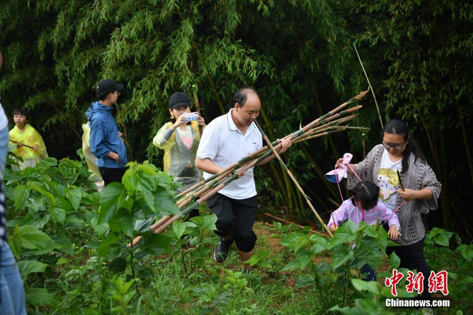 粉丝探访大熊猫食品专供基地 亲手采摘新鲜竹笋