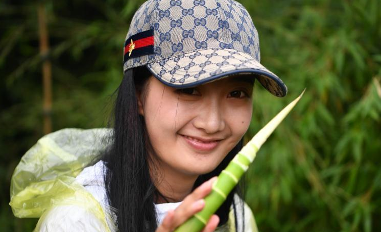 粉丝探访大熊猫食品专供基地 亲手采摘新鲜竹笋