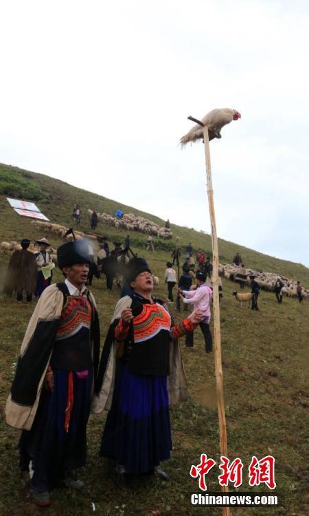 四川美姑县彝族羊毛节拉开帷幕