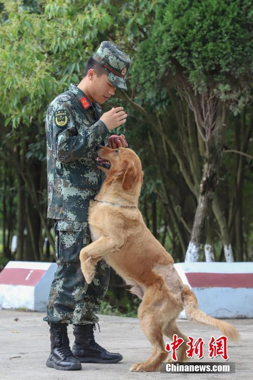 警犬班训导员退伍惜别无声战友