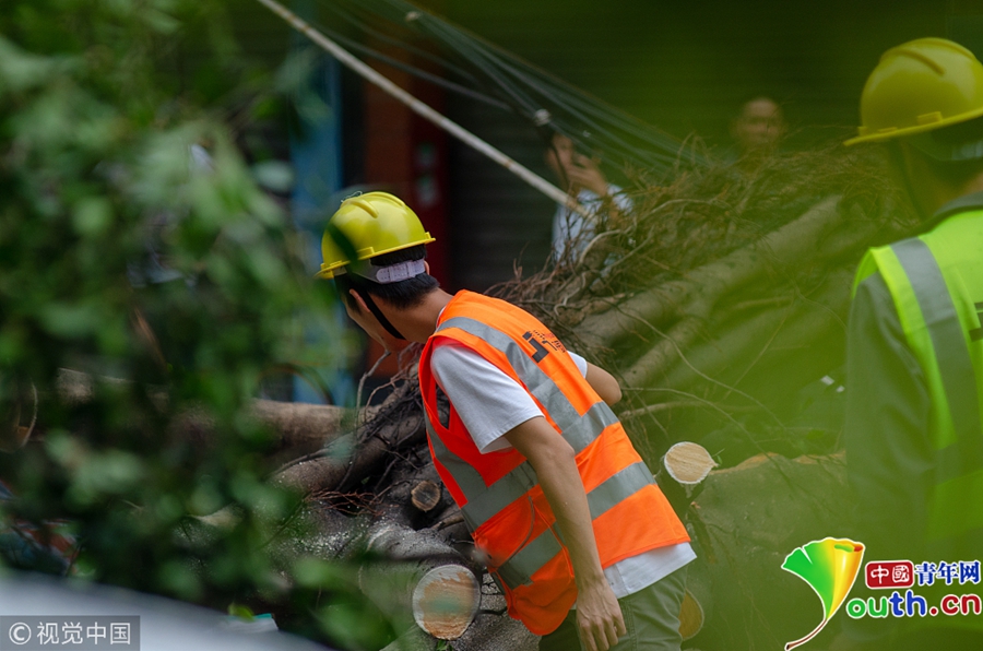 台风山竹过后 工人上街清理路障