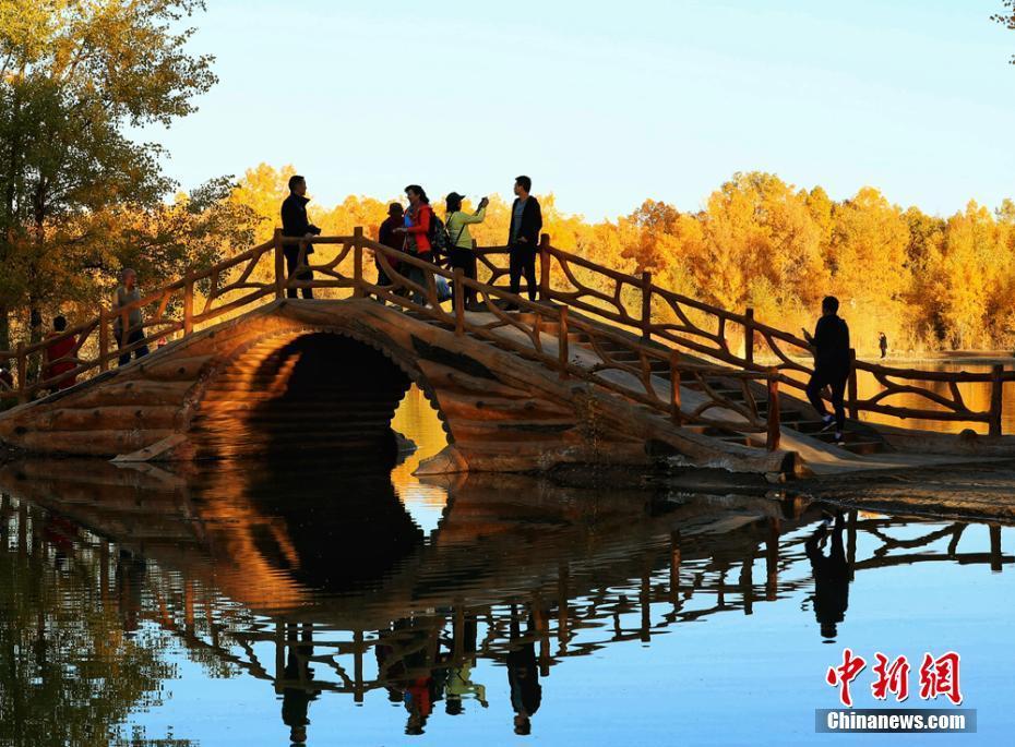 十月下旬,甘肃酒泉市金塔沙漠胡杨林景区叶片金黄,在湛蓝的天空下