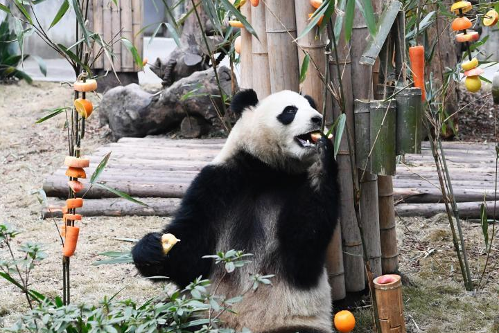QQ图片20190124080121.png