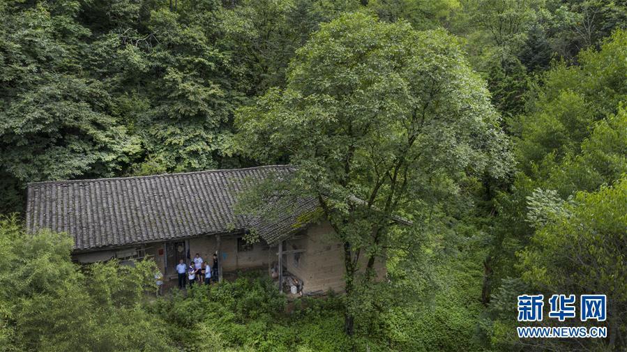 游人在参观当年深山中的姚家植树造林居住的土屋(7月12日无人机拍摄).