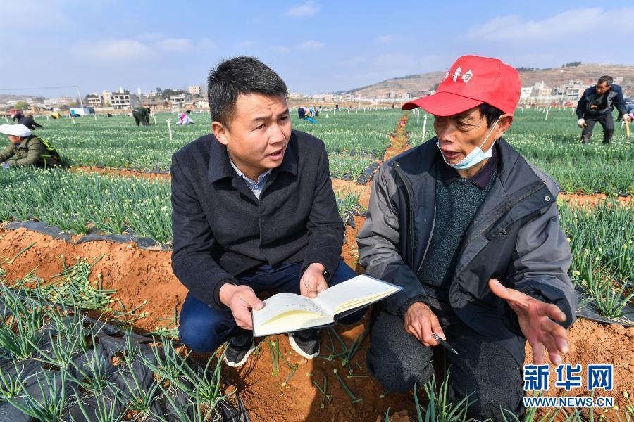 鲁甸易地扶贫搬迁安置区雨露社区党总支书记饶鹏(左)在安置区香葱