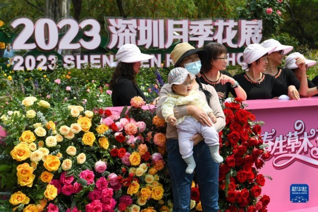 2023深圳月季花展开幕为2023年深圳的第一场花展