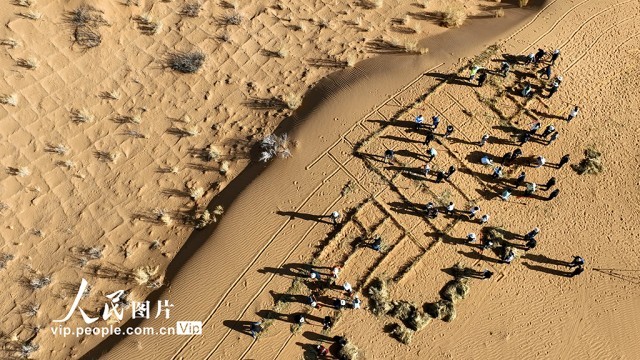 甘肃张掖：大学生学治沙把实践课开在荒漠里