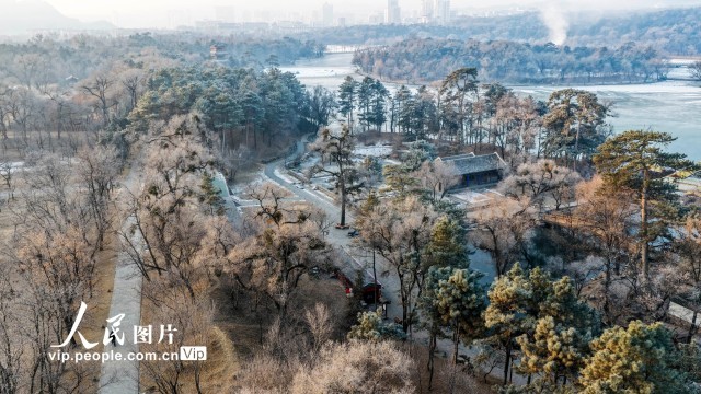 河北承德：避暑山庄现雾凇景观