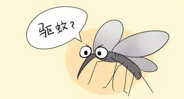 泸州蚊子被热死 研究:40度高温对蚊子致命