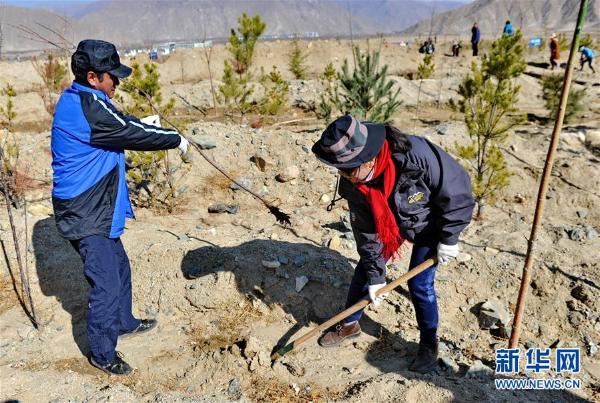 （环境）（1）西藏启动大规模国土绿化行动