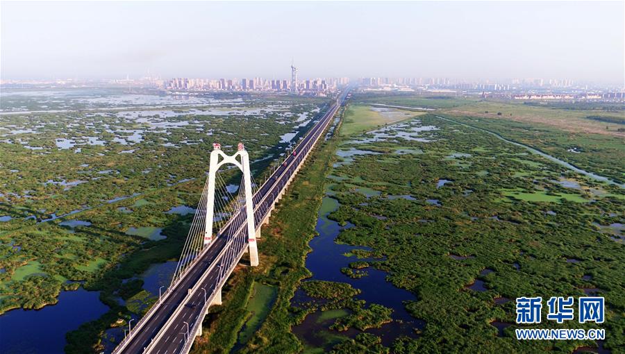 （美丽中国）（3）“城中湿地”尽显北国绿意生机